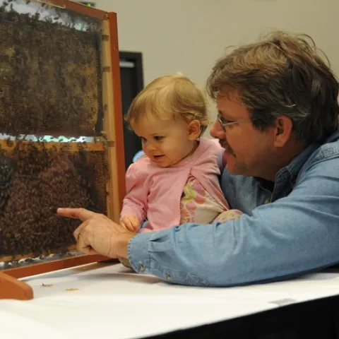 Beekeeper Brian Fishback shows his daughter, Emily, his bee observation hive. (Photo by Kathy Keatley Garvey)