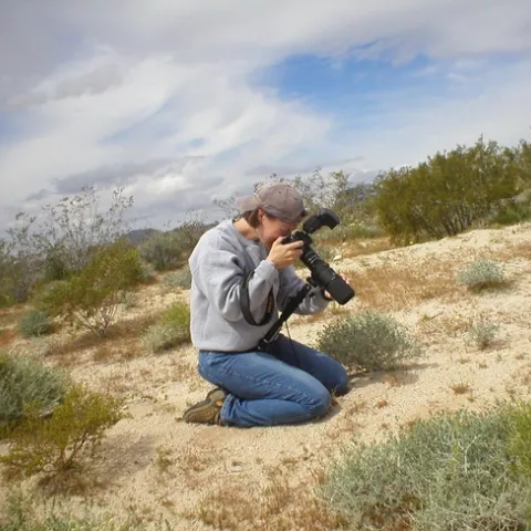 Fran Keller photographing insects in the Mojave Desert. (Photo by Mark deVries)