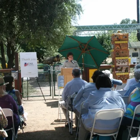California state DAR regent Debbie Jamison addresses the crowd. (UC Davis photo by Chris Akins)