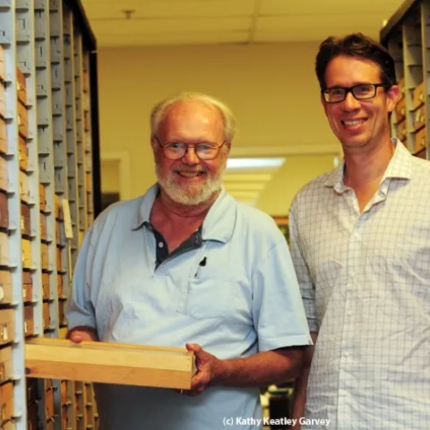 Robbin Thorp (left) of UC Davis and John Ascher of the National University of Singapore are two of The Bee Course instructors. (Photo by Kathy Keatley Garvey)