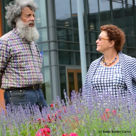 Butterfly expert Art Shapiro, distinguished professor of evolution and ecology at UC Davis, talks pollinators with Amina Harris, director of the Honey and Pollination Center. (Photo by Kathy Keatley Garvey)