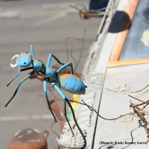 An stylized ant on the art car. (Photo by Kathy Keatley Garvey)