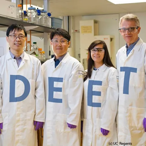 UC Davis scientists in the Walter Leal lab have discovered the odorant receptor in the Culex mosquito that repels DEET. From left are
project scientist Pingxi Xu; postdoctoral scholar Young-Moo Choo; AgChem graduate student Alyssa De La Rosa; and Professor Leal. (Photo credit: Academic Technology Services/Mediaworks)