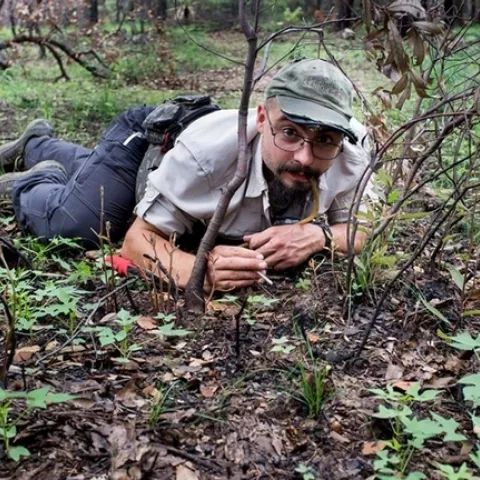 Myrmecologist Brendon Boudinot in the field. This was taken at the Southwest Research Station in the Chiricahua Mountains near Portal, Ariz., by Roberto Keller, National Museum of Natural History and Science, Portugal.