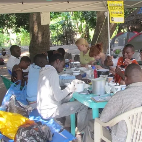 Medical entomologist Laura Norris (right side of table, second from top) works with a night's catch of mosquitoes in Mali.