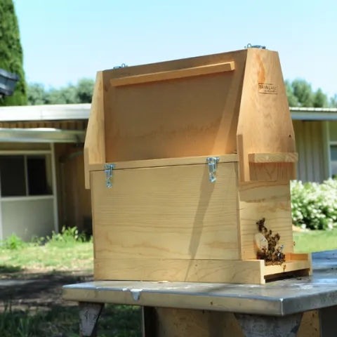 This bee observation hive, named "The Buzzingham Palace," will be on display Thursday through Sunday, May 7-10 at the Dixon May Fair. (Photo by Kathy Keatley Garvey)