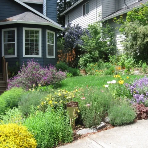 Matthew Shepherd's front yard at his home in Beaverton, Ore., draws scores of pollinators. (Photo courtesy of Matthew Shepherd)