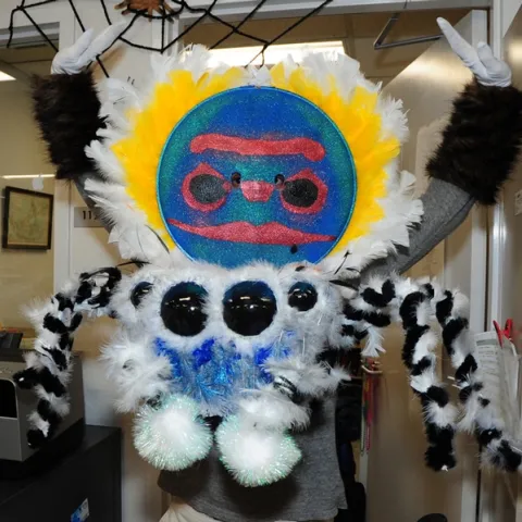 UC Davis entomology undergraduate student Wade Spencer practices his peacock jumping spider moves. (Photo by Kathy Keatley Garvey)