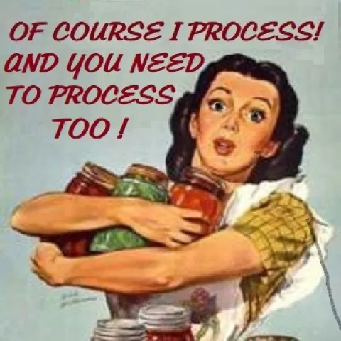 A busy woman admonishing you to process!