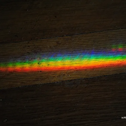 Odds are, due to the rain, you won't find any bees flying around Davis during the UC Davis Bee Symposium, but you might find a rainbow or a reflection. (Photo by Kathy Keatley Garvey)
