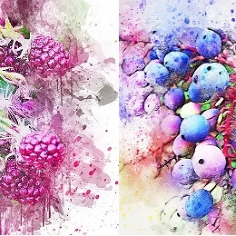 blackberries and blueberries