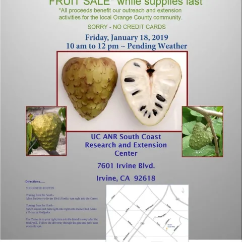 2019 Cherimoya Tasting