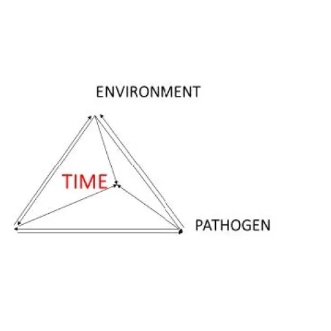 disease pyramid