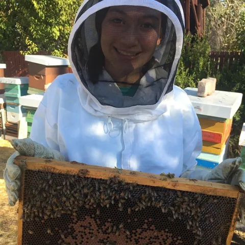 Capriana in her bee suit, surrounded by bees