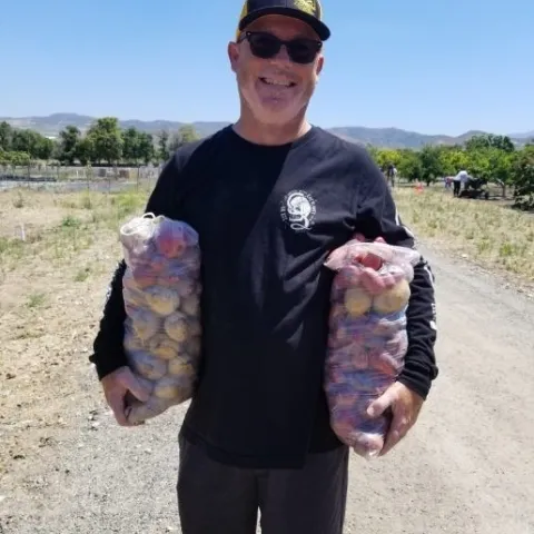 Bringing in the bounty.