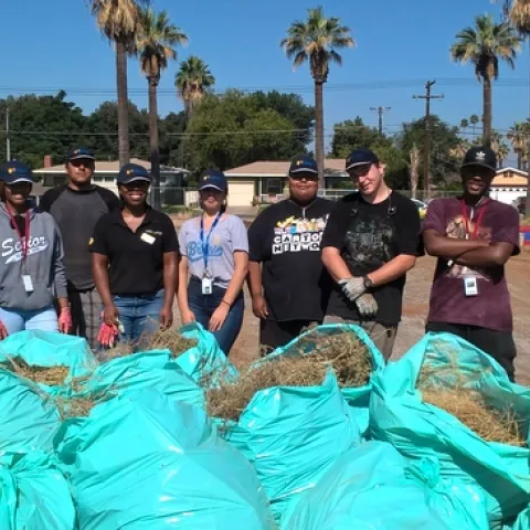 WP 20190713 09 29 30 Pro