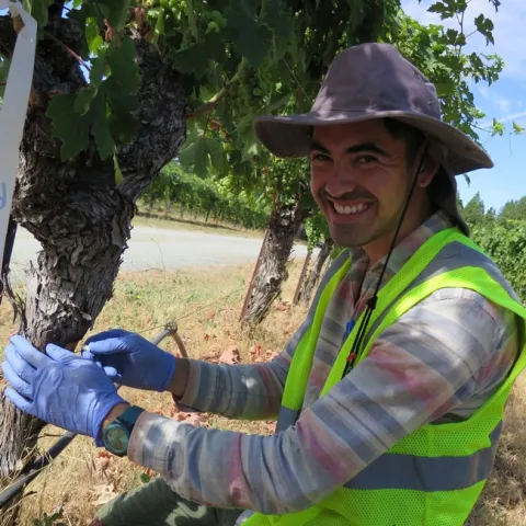 A latino man kneeling by a grapevine with a big smile on his face. He's wearing a reflective safety vest.