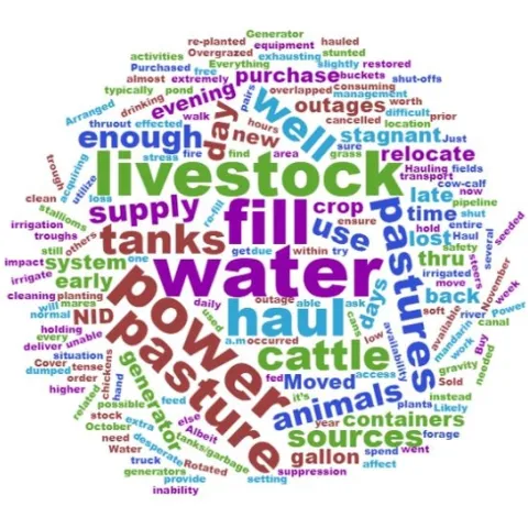 A word cloud image of comments from ranchers. The larger the word, the more frequently it appeared in comments.