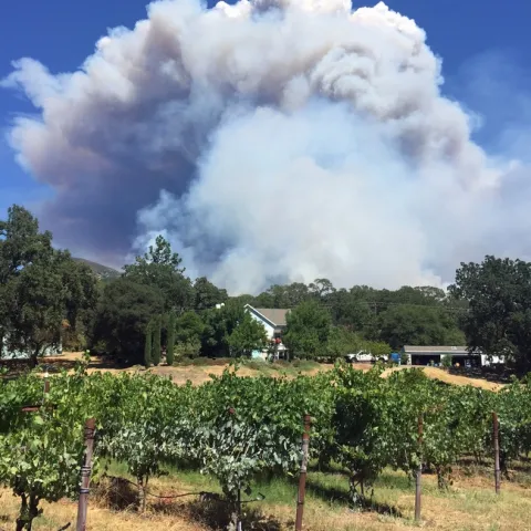The 2018 River Fire started about 60 feet from Glenn McGourty's home, but the wind blew smoke away from his grapes. Photo by Glenn McGourty'