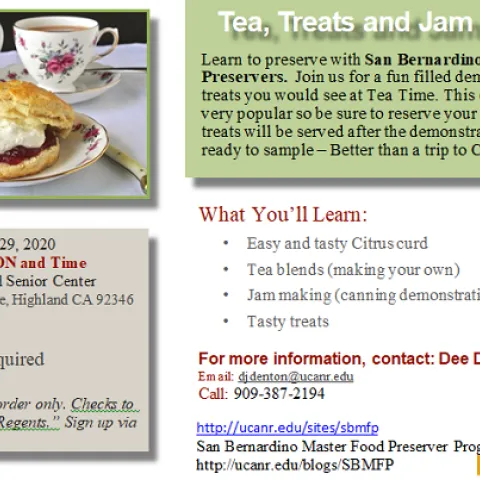 Feb 2020 tea treats and jam making SHRUNKEN VERSION