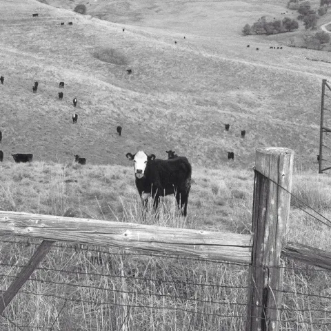 10408706 924363087576597 2852300917789176784 n