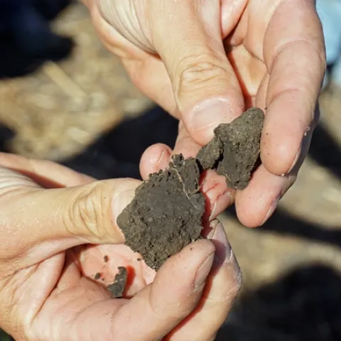 CDFA will provide funding for six UC Cooperative Extension projects that will demonstrate soil health practices on California farms and ranches.