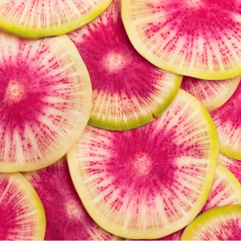 Slices of watermelon radishes. Photo: Michele Blacksell, Unsplash