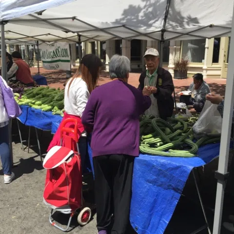 To help farmers establish connections with restaurants and produce sellers, Catherine Brinkley, director of UC Davis Center for Regional Change, has created online resources for markets and farmers to identify opportunities to build relationships. Shoppers browse a farmers market in Oakland in 2017.