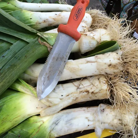 Leeks, Candace Simpson