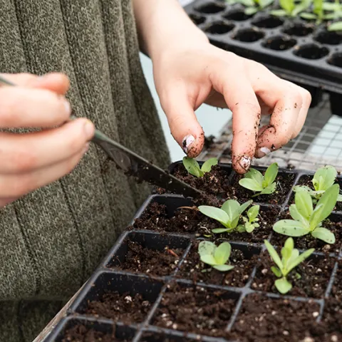 Zoe Schaeffer, Unsplash