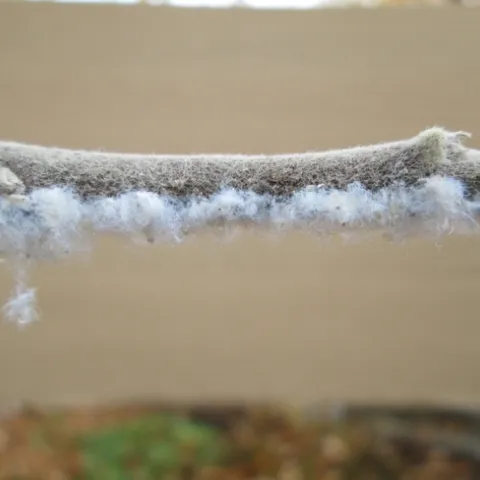 A horizontal twig with white fluff suspended on it.