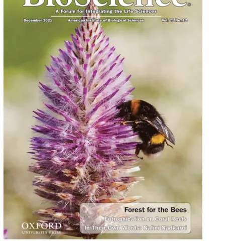 The cover image of BioScience by Diego Delso shows a Bombus terrestris, a buff-tailed bumble bee that is one of the most numerous bumble bee species in Europe.