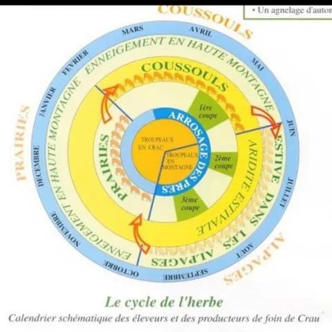A production calendar created by Domaine du Merle.