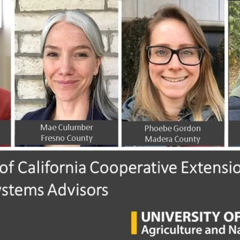 Nut Crops Advisors in Tulare, Kings, Fresno, and Madera Counties