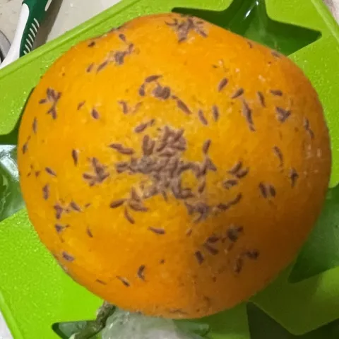 purple scale (2)
