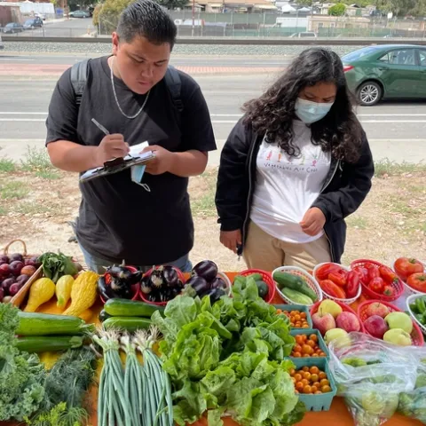 Young people take inventory of produce at their farm stand