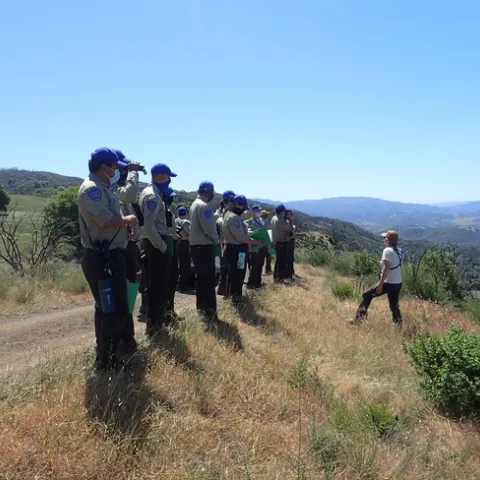 Group of students in the California Naturalist class standing on a hillside discussing