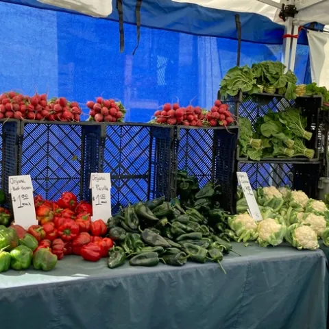 Organic vegetables displayed at a farmers market