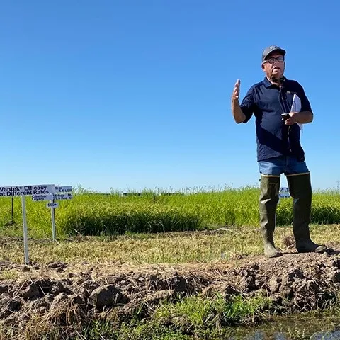 Department of Plant Sciences weed expert Kassim Al-Khatib discusses results of field trials involving new herbicides during Rice Field Day on Aug. 31 at the Rice Experiment Station in Biggs, CA. (Photo by Trina Kleist/UC Davis Plant Sciences.)