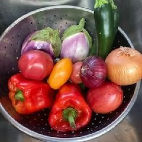 Wash Veges for Ratatouille