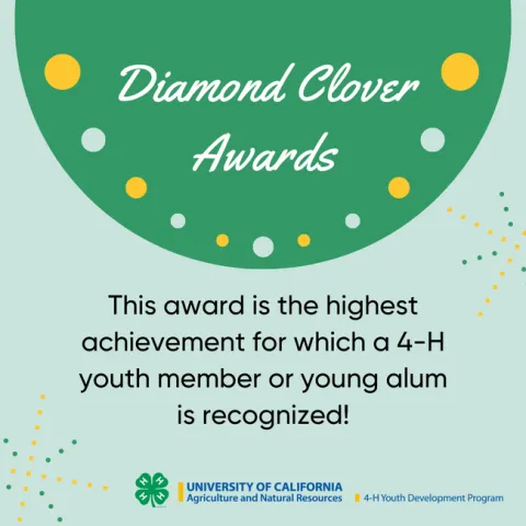 Diamond Clover Awards - This award is the highest achievement for which a 4-H youth member or young alum is recognized!