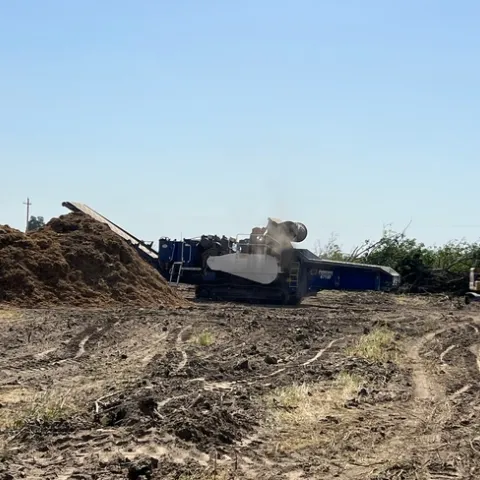 Wood chip pile resulting from whole orchard recycling