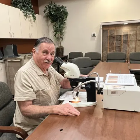 Richard Coviollo identifies male walnut scale insects at the UCCE Tulare County office