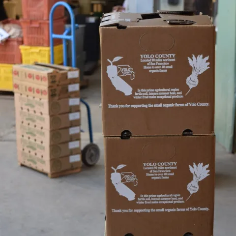 Two stacked cardboard produce boxes with additional boxes on a hand dolly.