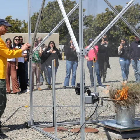 A group of people observe a dry grassy plant in a metal bucket flaming inside a metal enclosure.