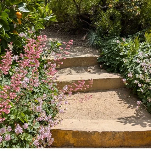 Garden Sense program of Sonoma County