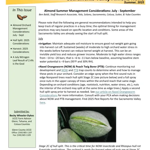 Glenn County UCCE Sacramento Valley Almond Newsletter - Summer 2025