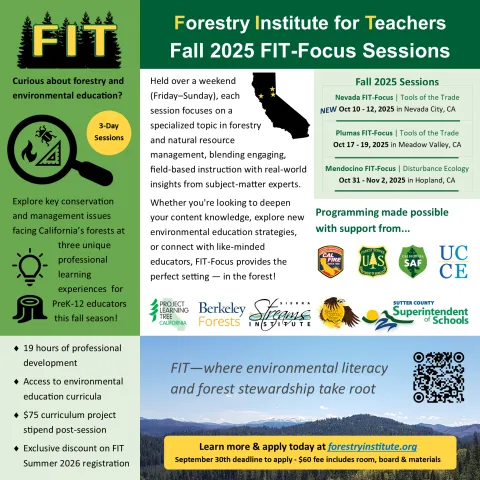 FIT Focus 2025