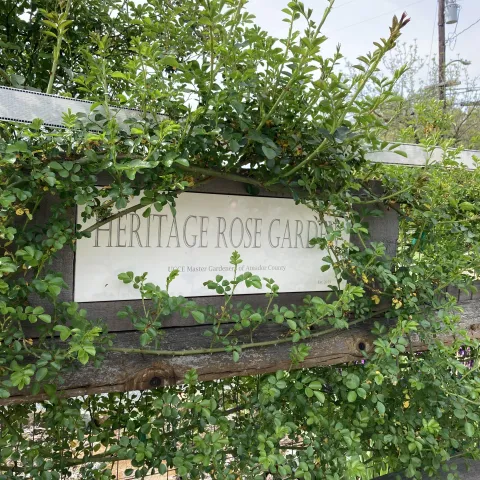 Hertiage Rose Garden sign