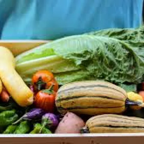 CSA subscription box